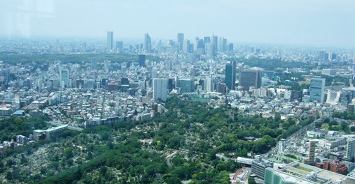 はとバス6・.jpg