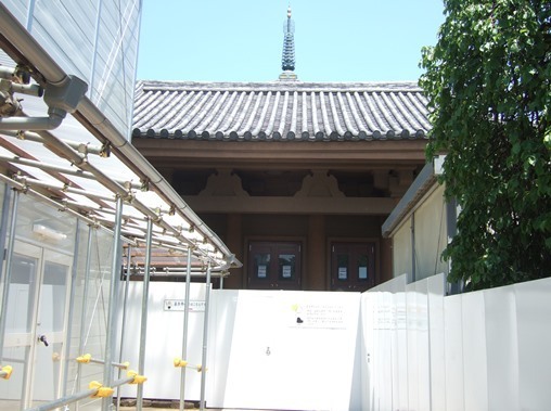 椎名町11・本堂.jpg